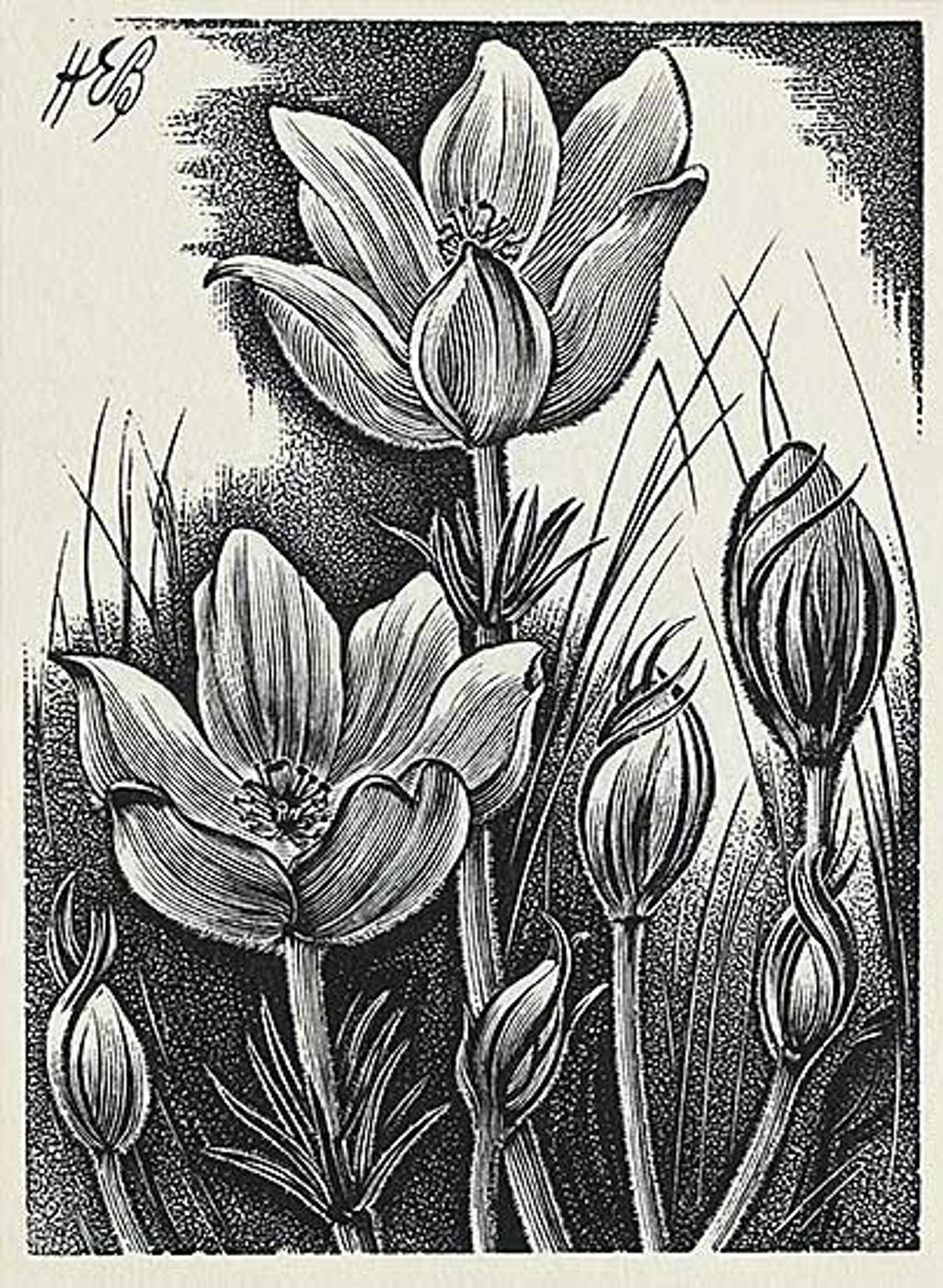 Henry Eric Bergman (1893-1958) - Untitled - Crocuses
