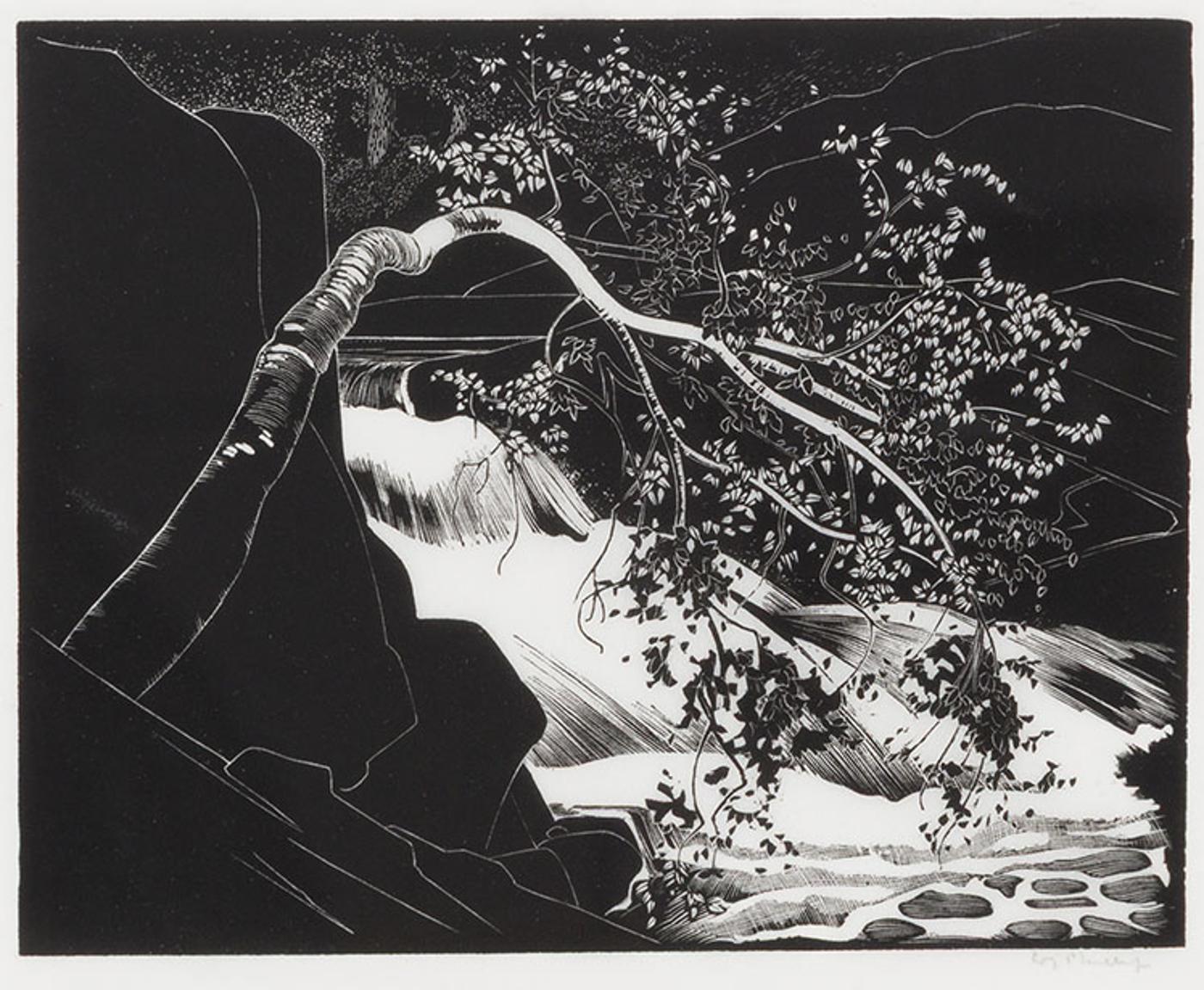 Walter Joseph (W.J.) Phillips (1884-1963) - Rushing River, Lake of the Woods