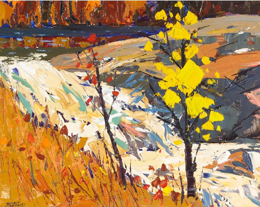 Thomas Frederick Haig Chatfield (1921-1999) - Rosseau Falls, Muskoka, Oct/64