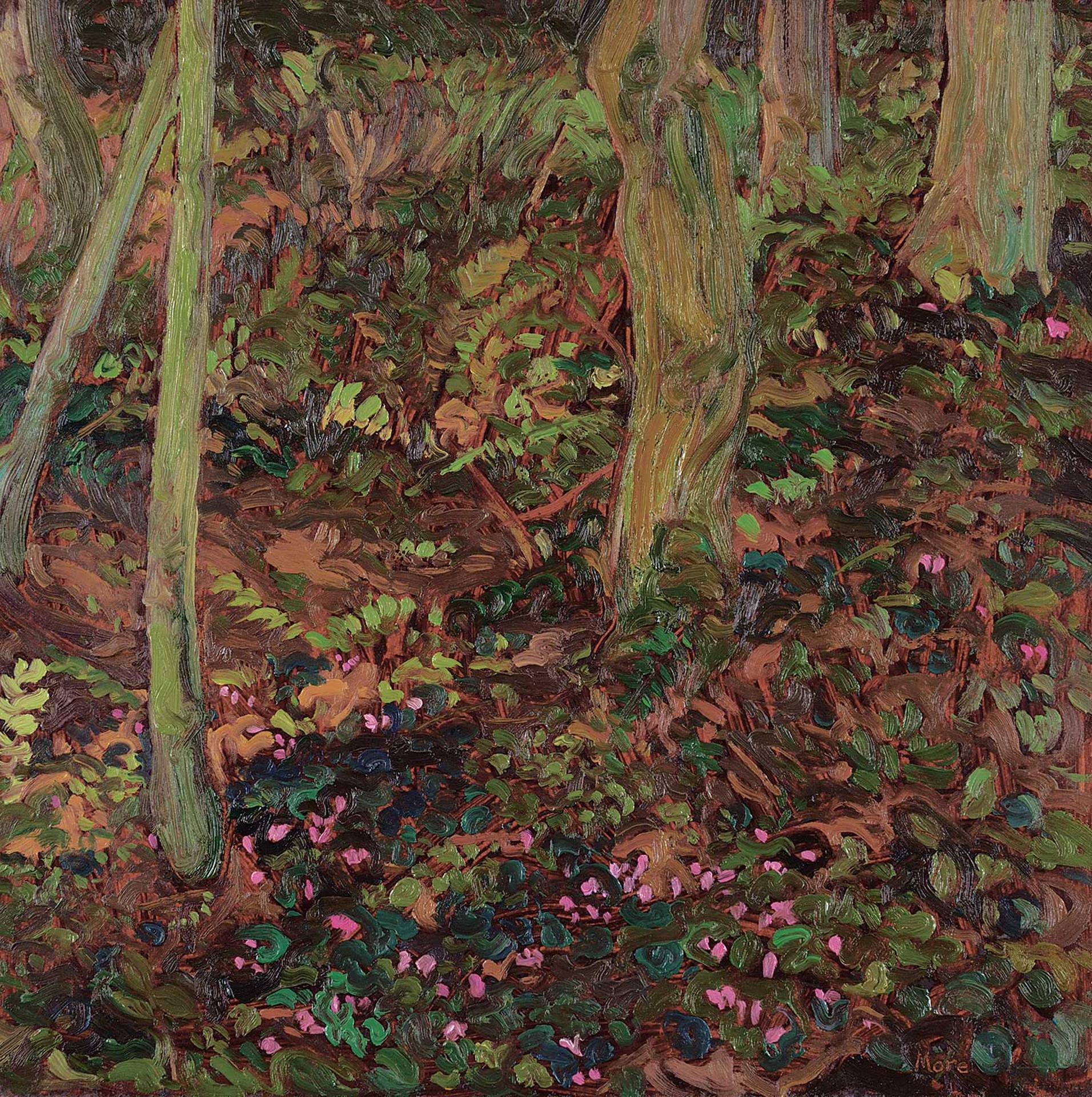 David John More (1947) - Cyclamens