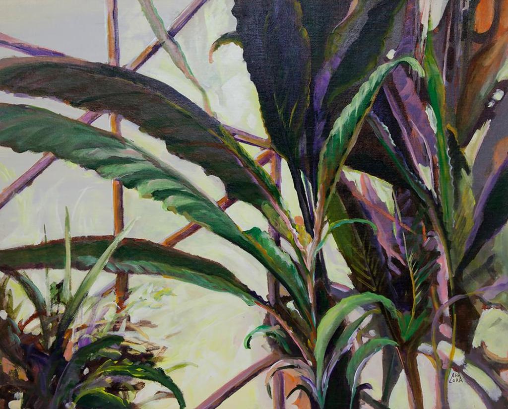 Lora Armbruster - Palms at Q.E. Arboretum