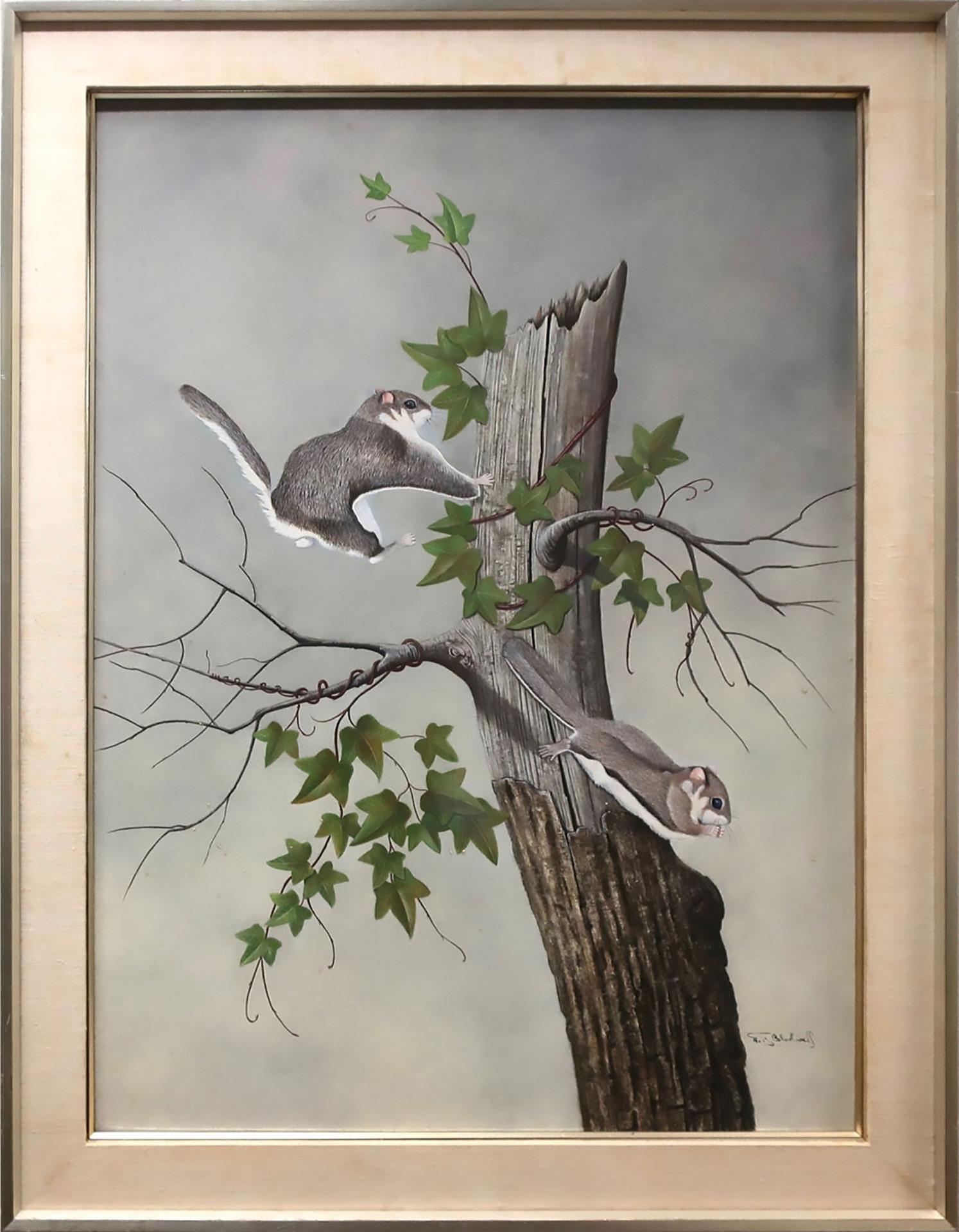 Neil Blackwell - Untitled (Flying Squirrels)