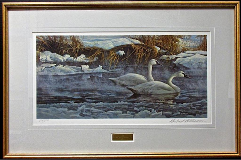 Robert Mclellan Bateman (1930-1922) - Morning On The River - Trumpeter Swans