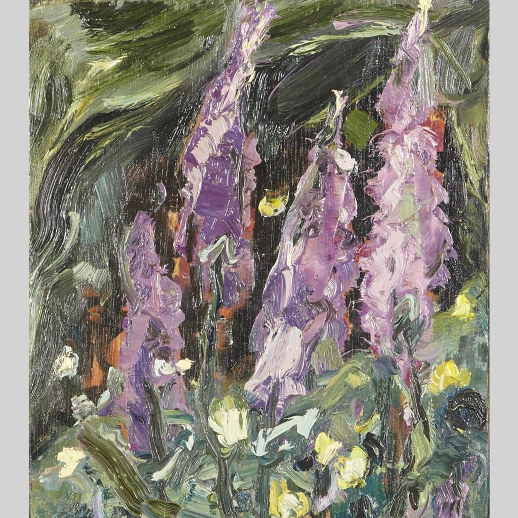 Philippe Raphanel (1956) - Foxgloves #2, Homby Island B.C.