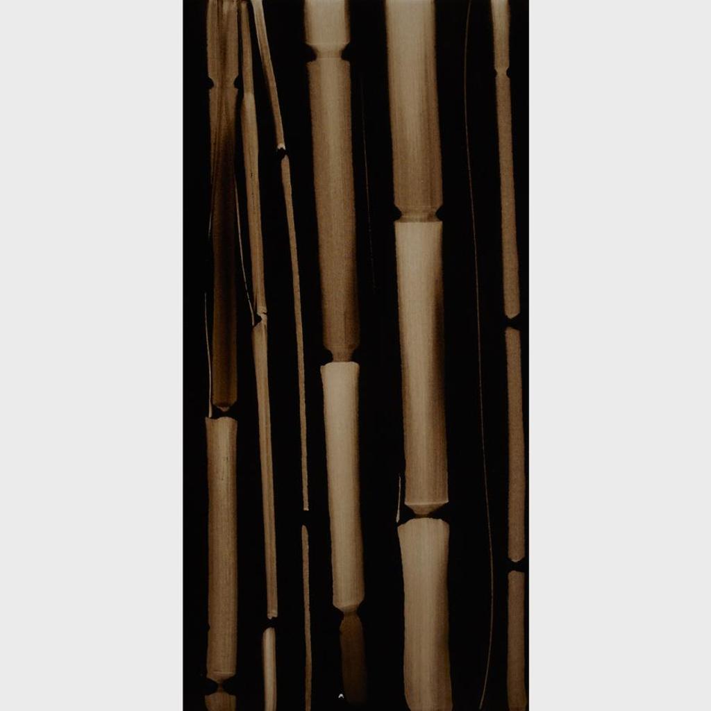 Attila Richard Lukacs (1962) - Bamboo Series