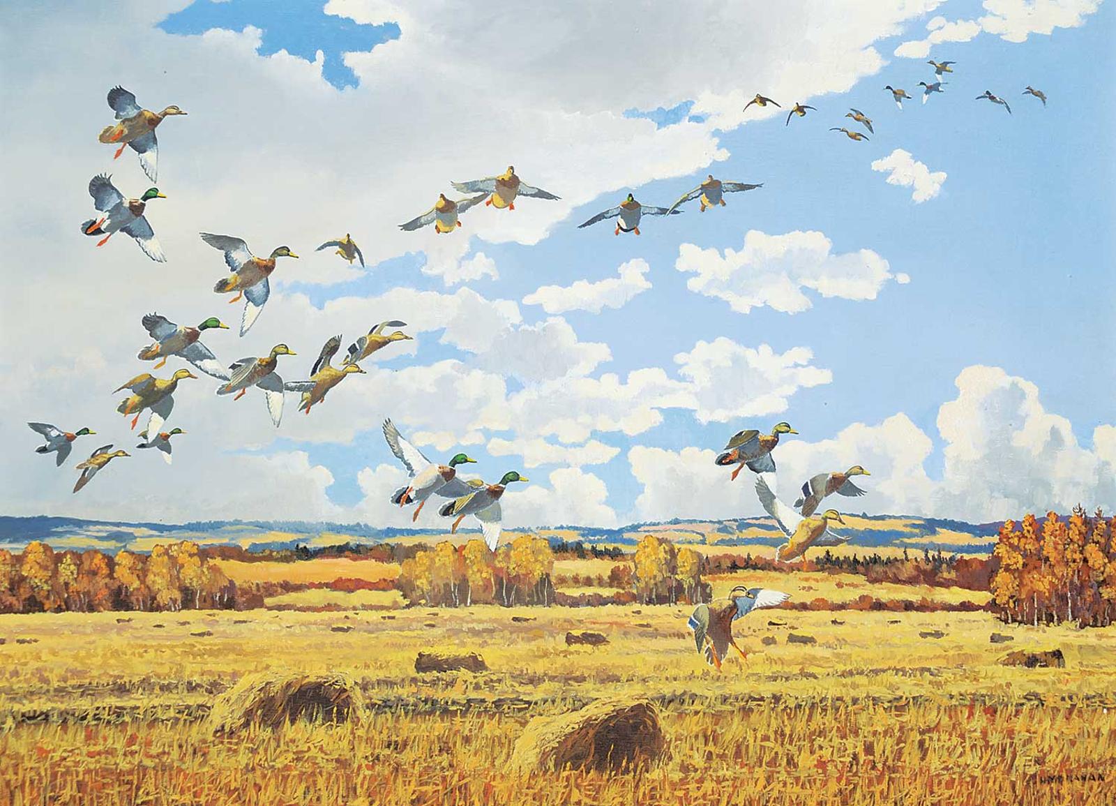Hugh C. Monahan (1914-1970) - Untitled - Mallards