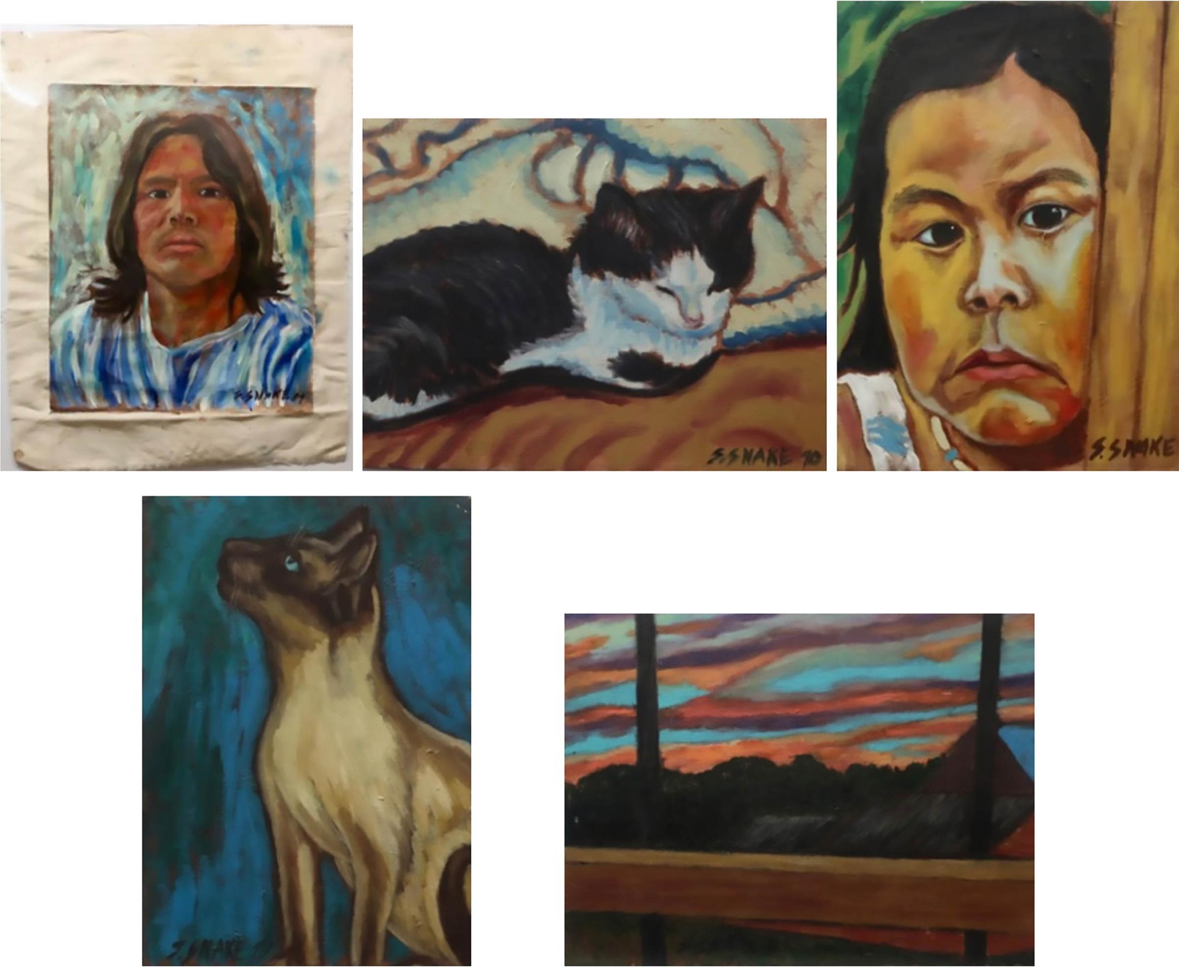 Stephen Snake (1967) - Self Portrait; Sleeping Cat; Young Girl; Siamese Cat; Sunset Landscape