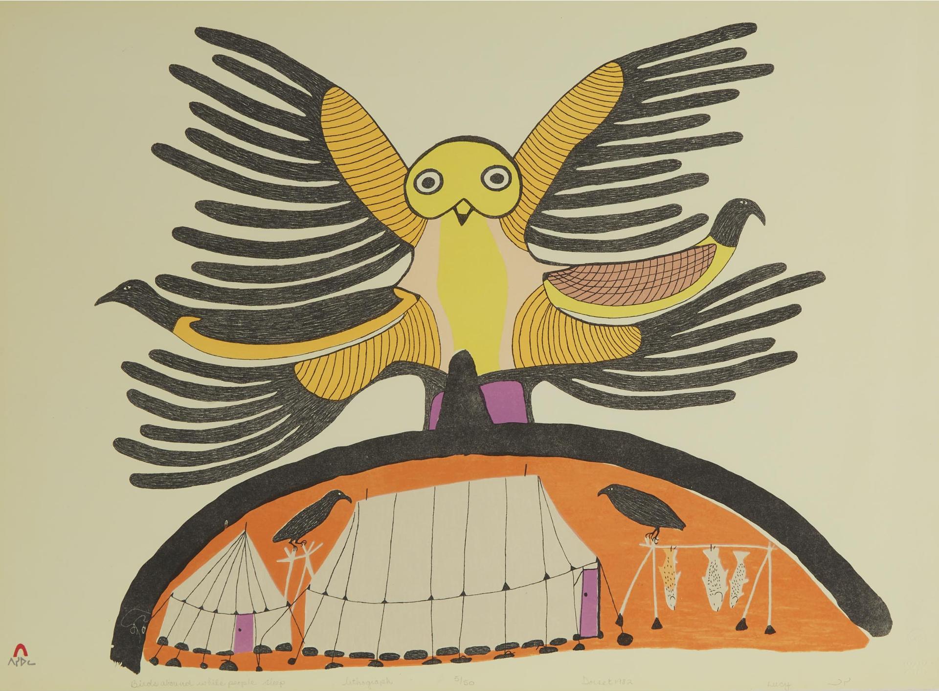 Lucy Qinnuayuak (1915-1982) - Birds Around While People Sleep