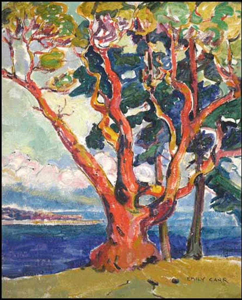 Emily Carr (1871-1945) - Arbutus Tree (Untitled Portrait verso)