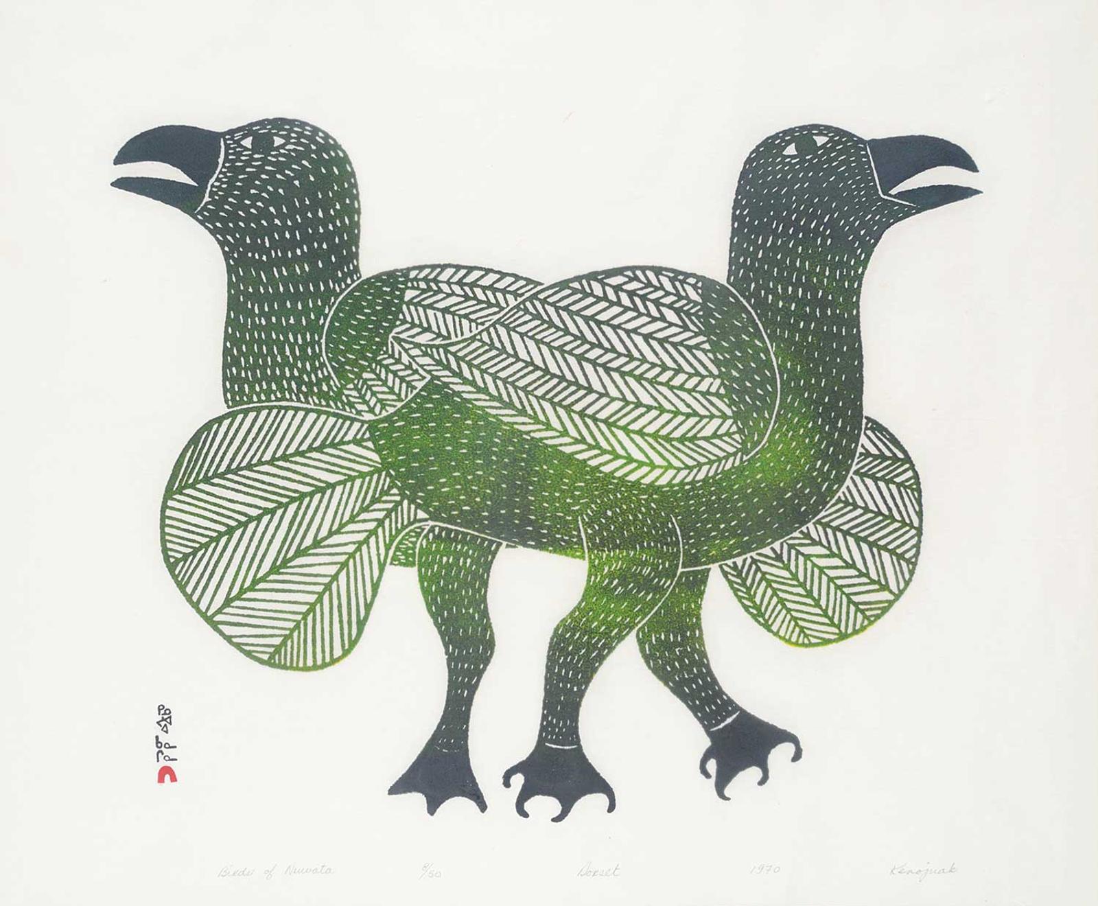 Ashevak - Birds of Nuwata  #8/50