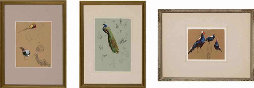 Horatio Walker (1858-1938) - Three Bird Sketches