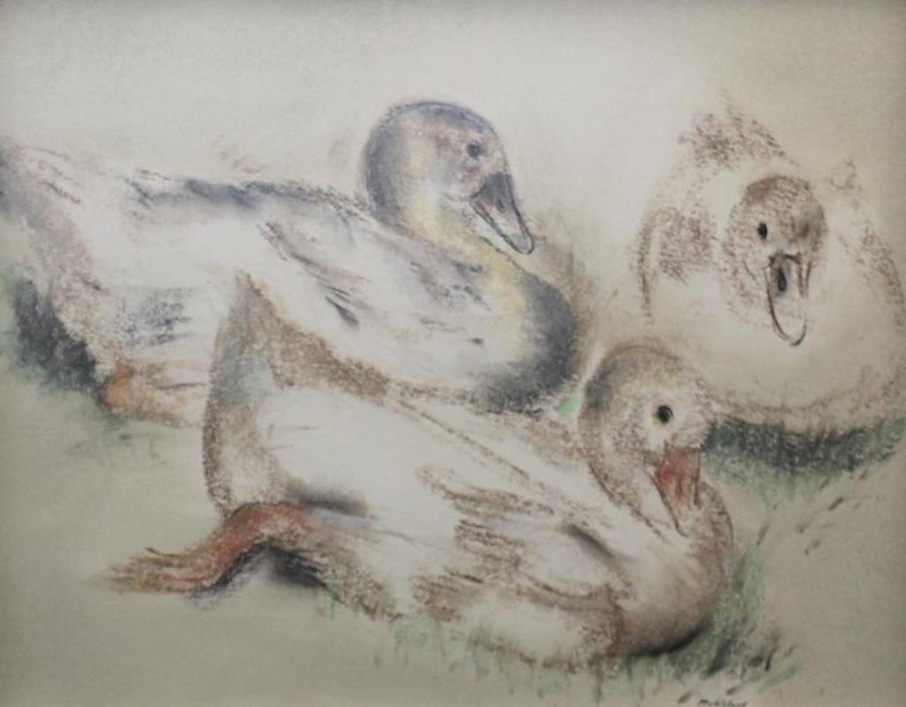 Louis Muhlstock (1904-2001) - Three Ducks