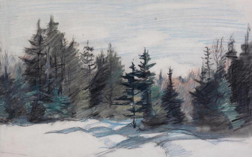 Frederick Simpson Coburn (1871-1960) - Winter Forest Scene