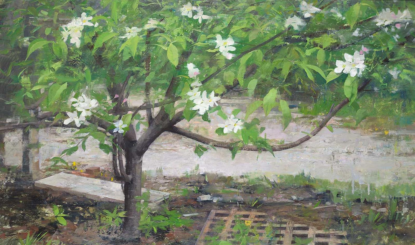 Chris S. Flodberg - Shaded Tree, Spring