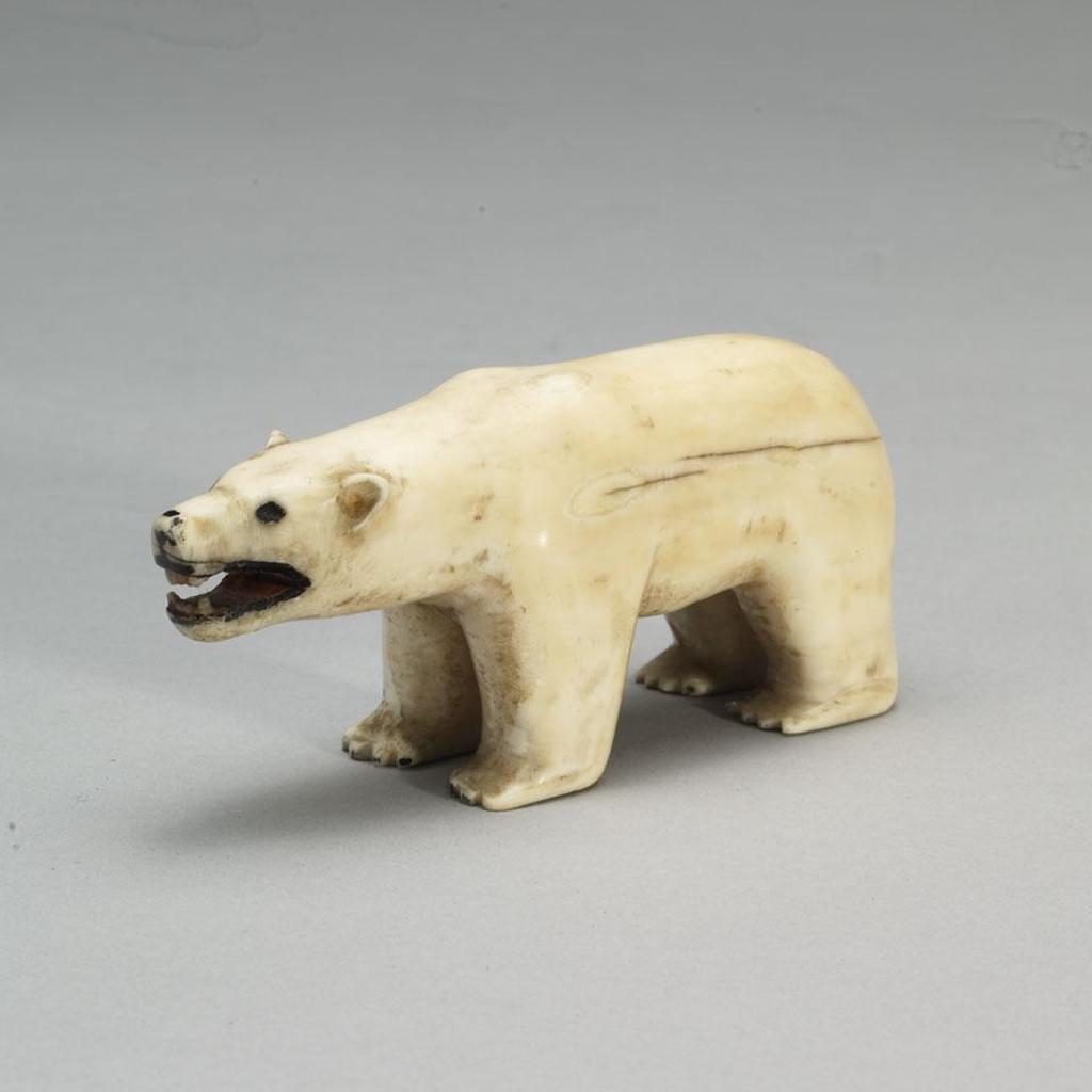Polar Bear - Ivory