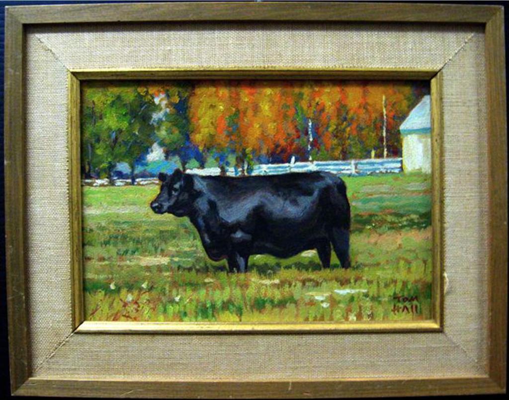 Thomas Herbert - Black Cow