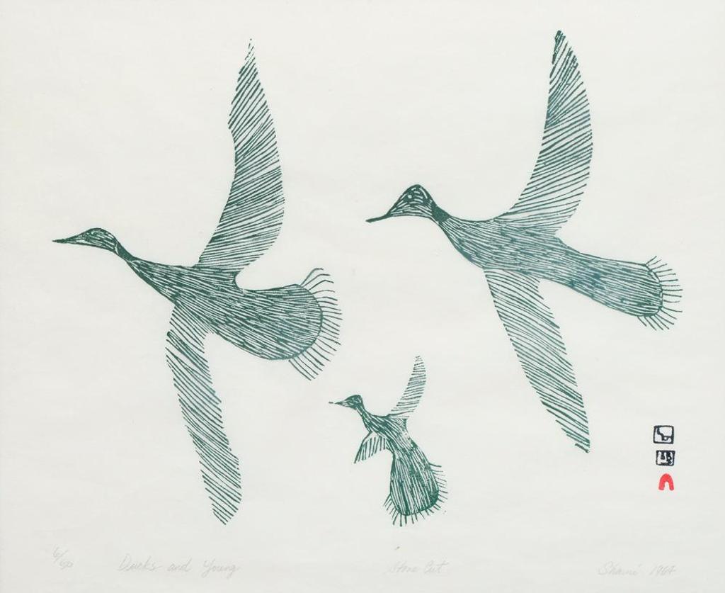 Sharni Pootoogook (1922-2003) - Ducks and Young