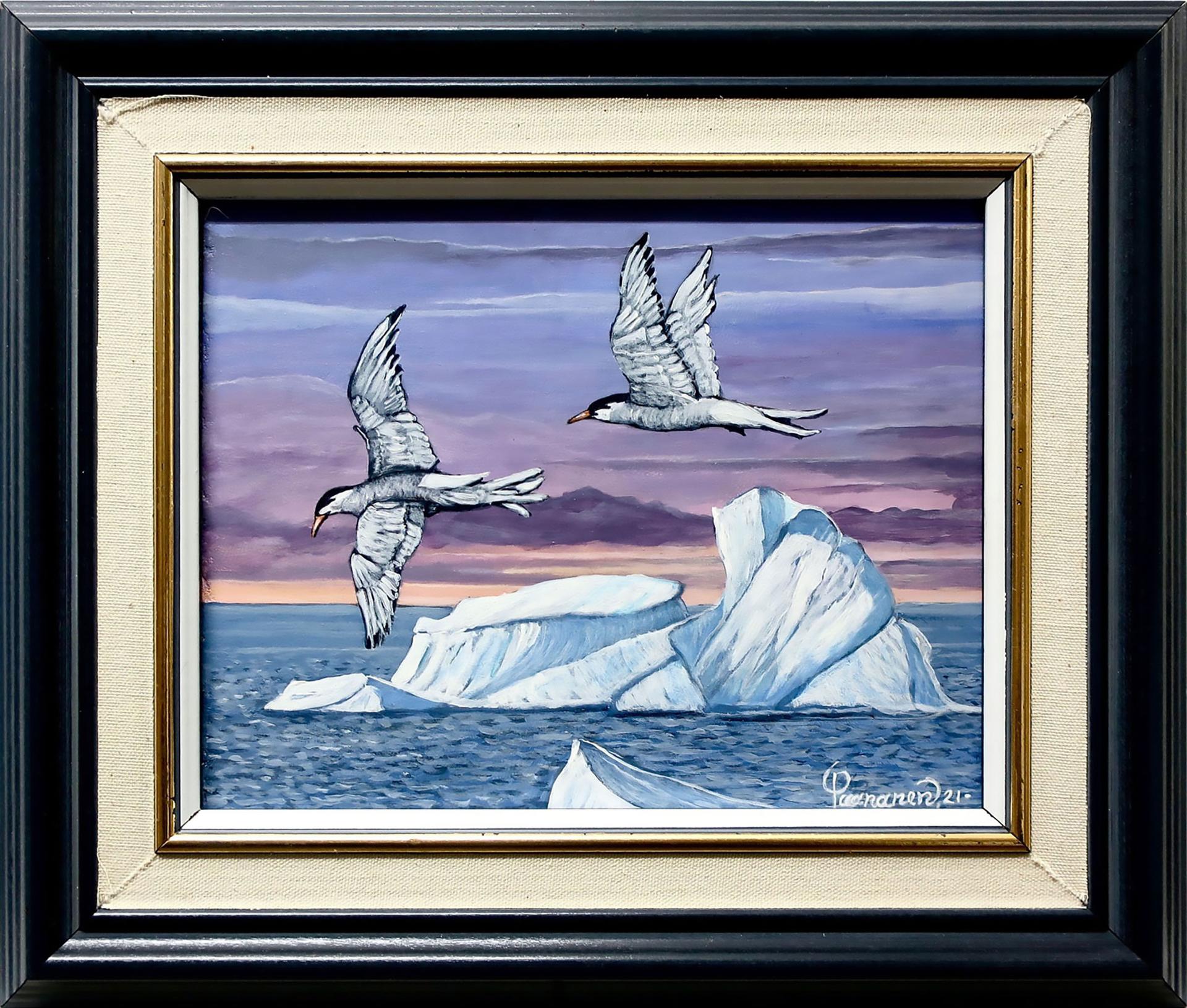 Robert Paananen (1934) - Arctic Terns