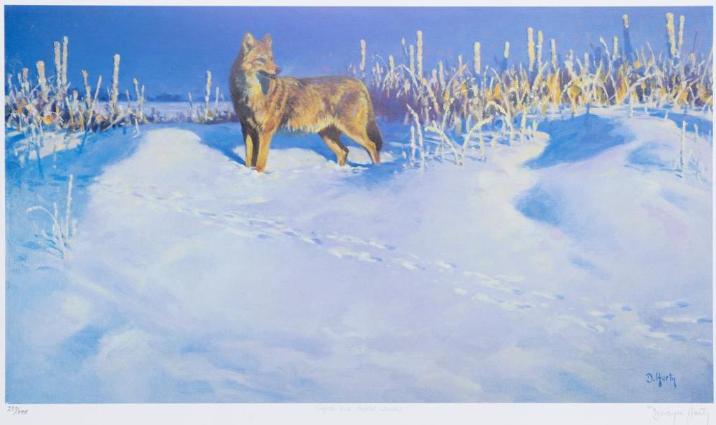 Dwayne Harty (1957) - Coyote and Rabbit Tracks