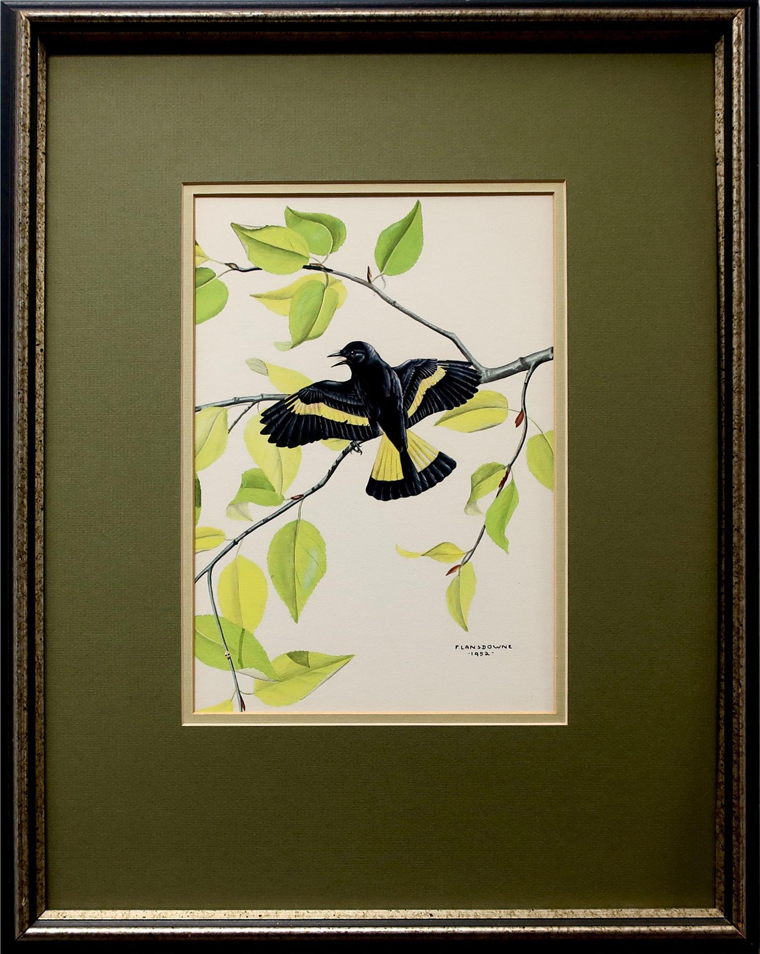 James Fenwick Lansdowne (1937-2008) - Untitled (Black Bird With Yellow Striped Wings And Tail)