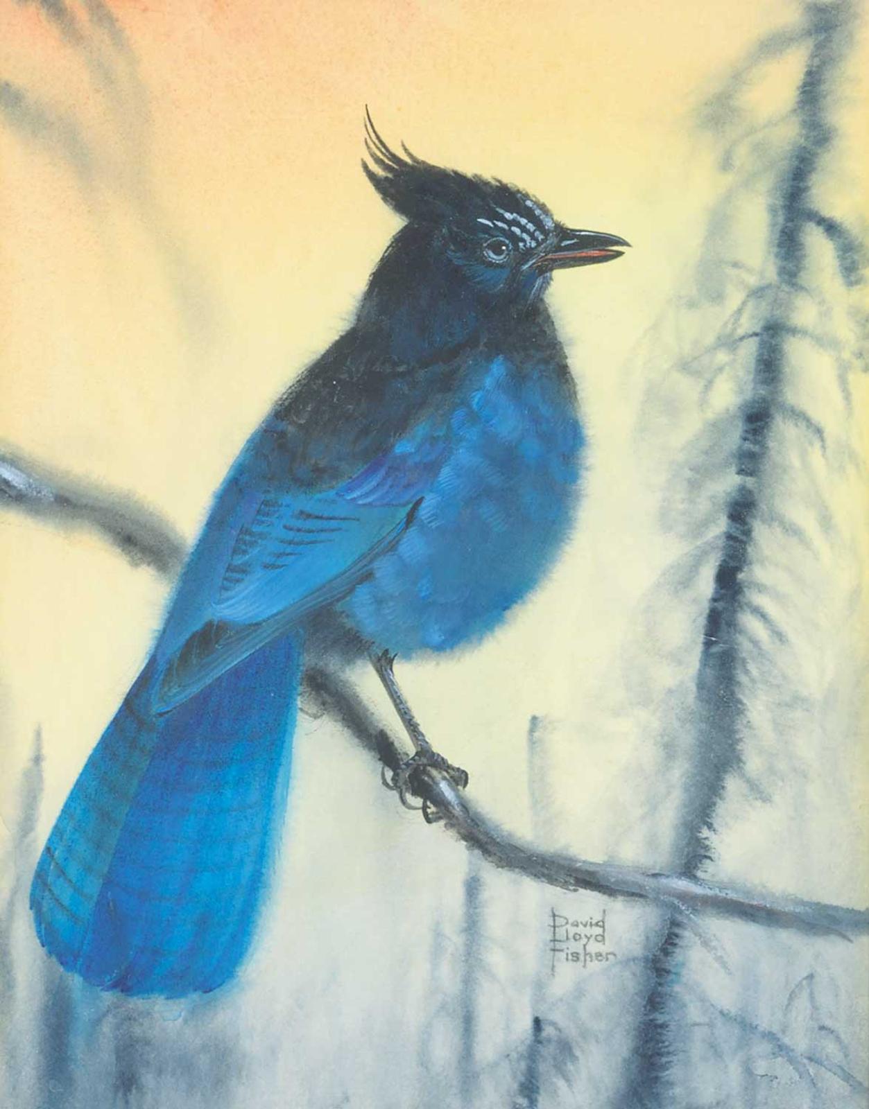 David Lloyd Fisher (1935-2015) - Untitled - Bluejay