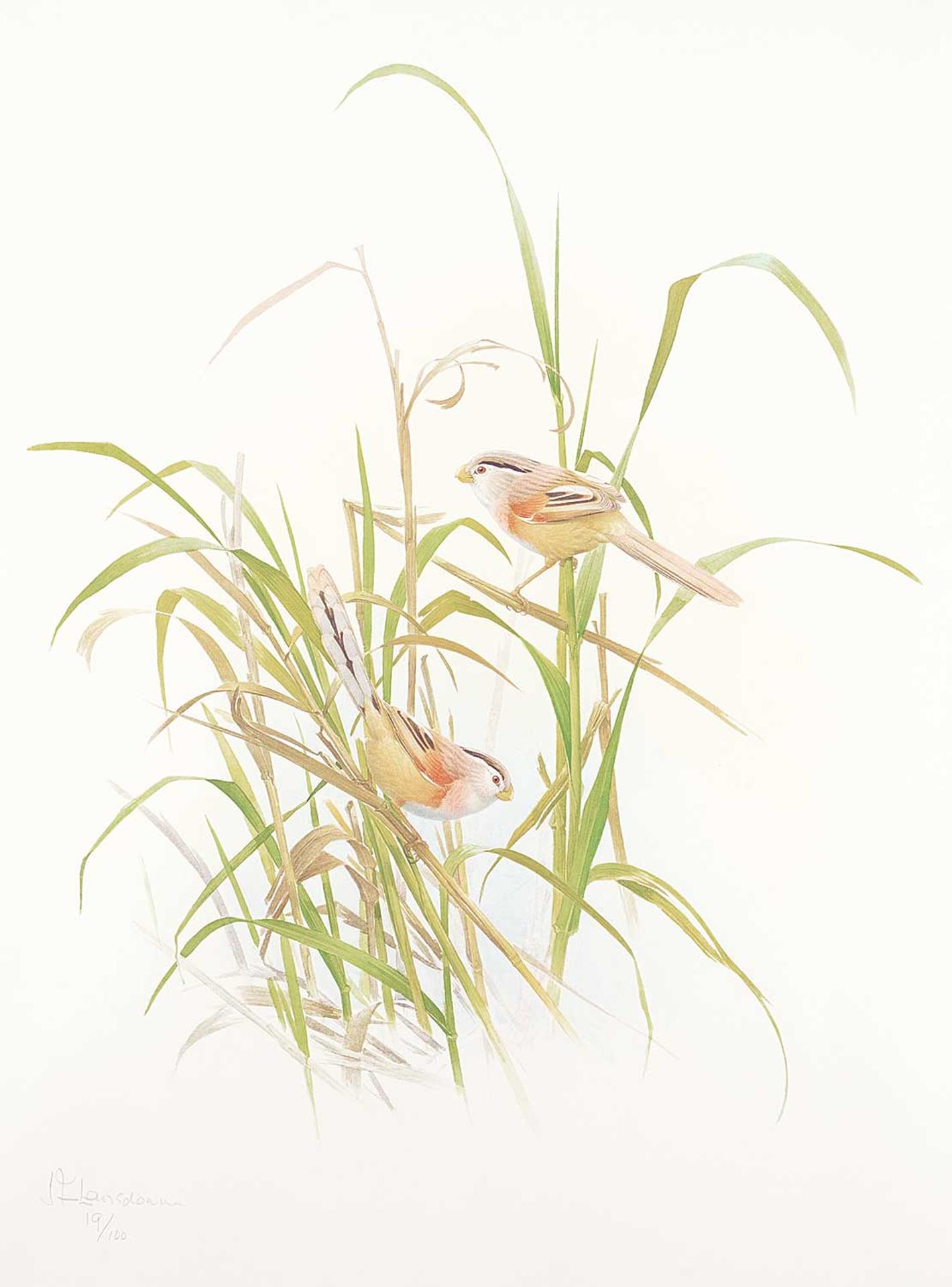 James Fenwick Lansdowne (1937-2008) - Untitled - Birds in the Grass #19/100