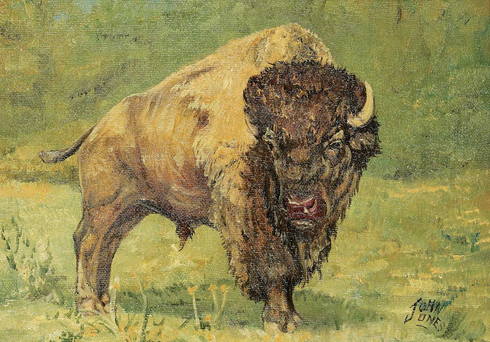 John T. Jones (1940) - Untitled - Bison