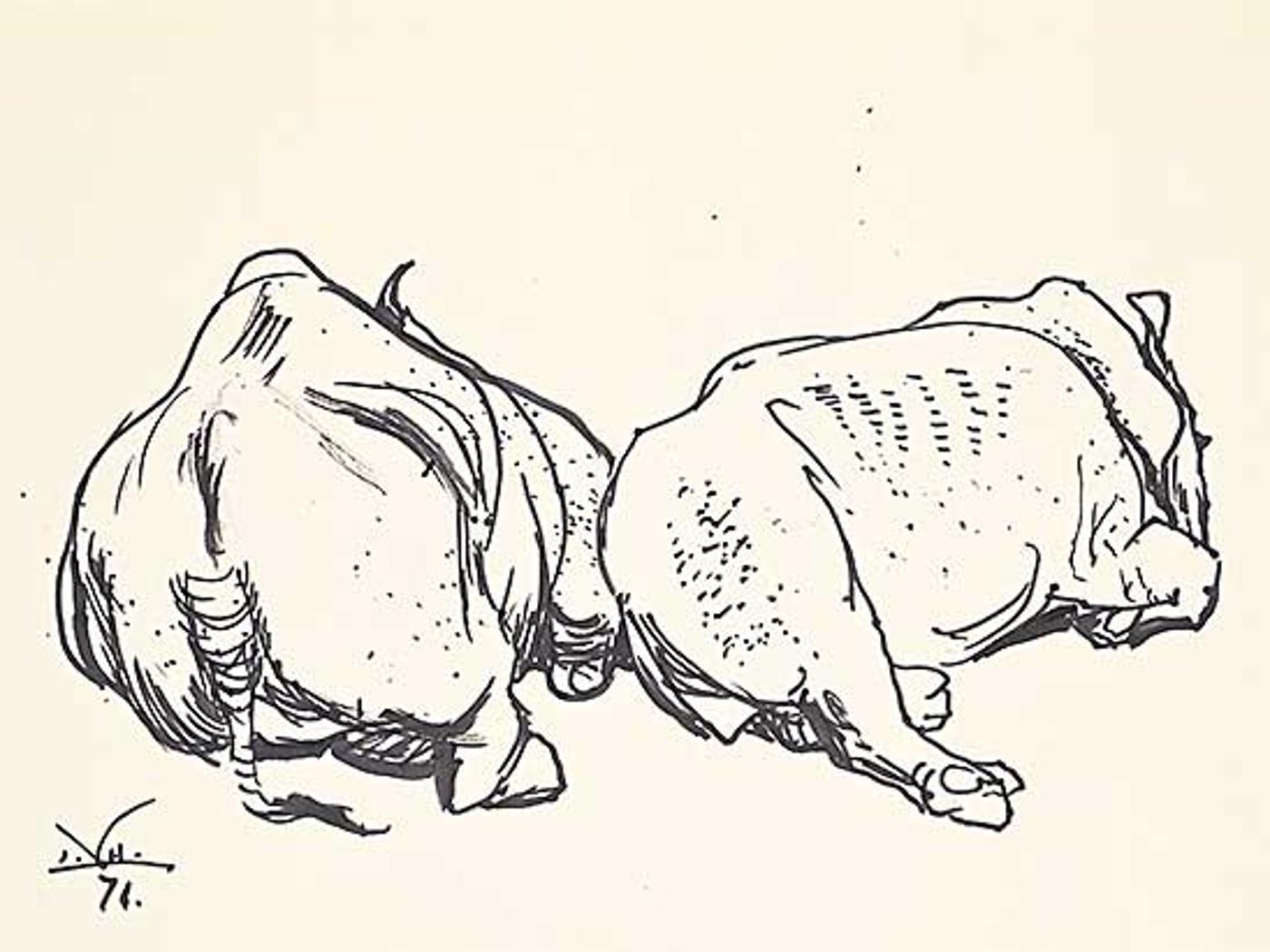 Illingworth Holey (Buck) Kerr (1905-1989) - Untitled - Resting Rhinos