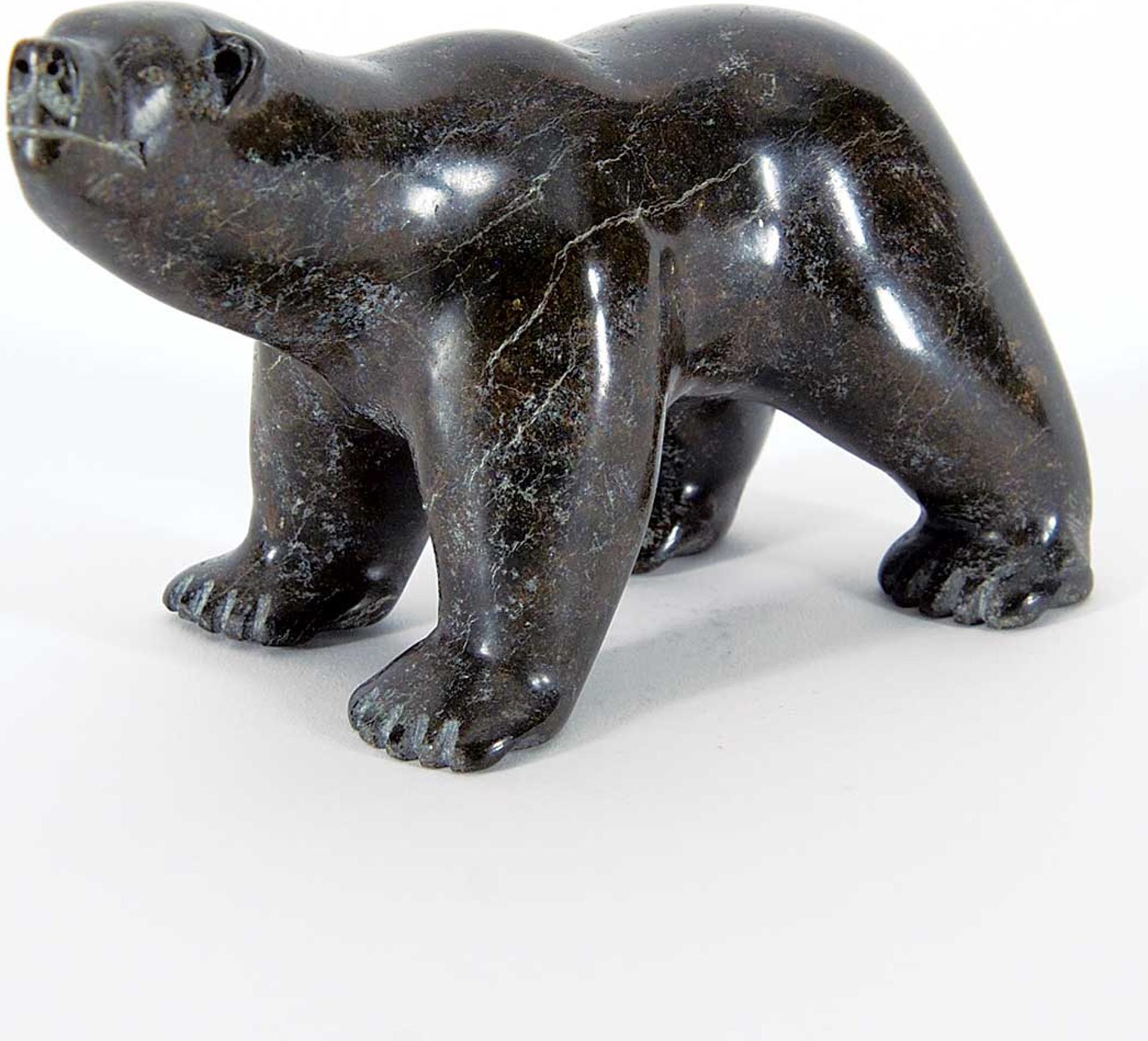 Lyta Josephie (1964) - Untitled - Black Bear