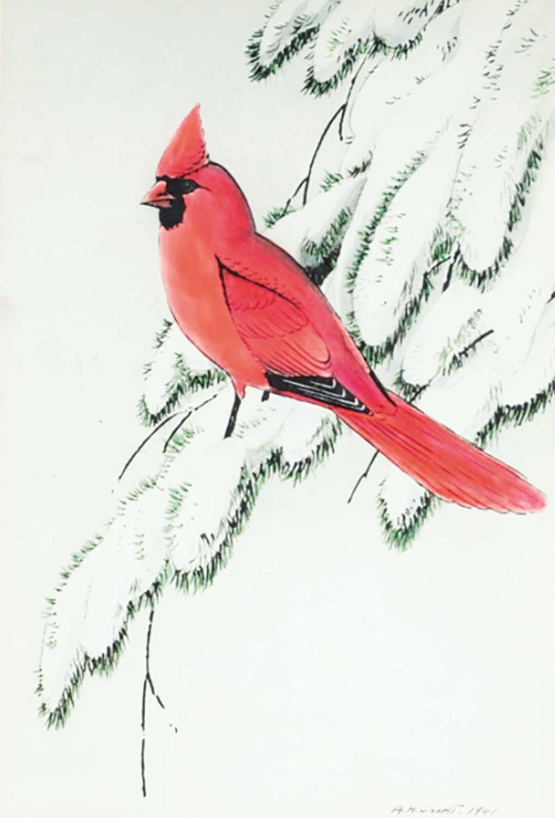 Angus Henry Shortt (1908-2006) - Red Cardinal