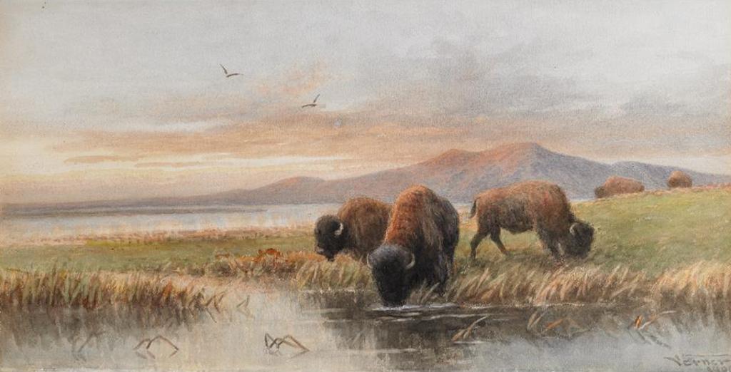 Frederick Arthur Verner (1836-1928) - Buffalo Grazing, Evening
