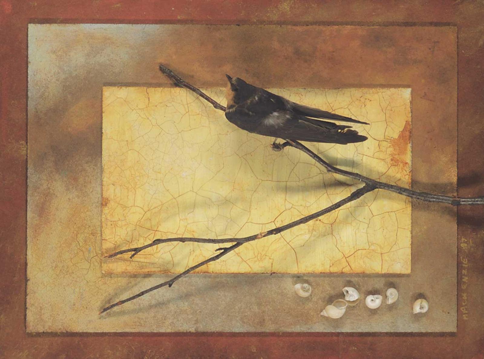 Cynthia Mackenzie (1952) - Untitled - Bird and Shells