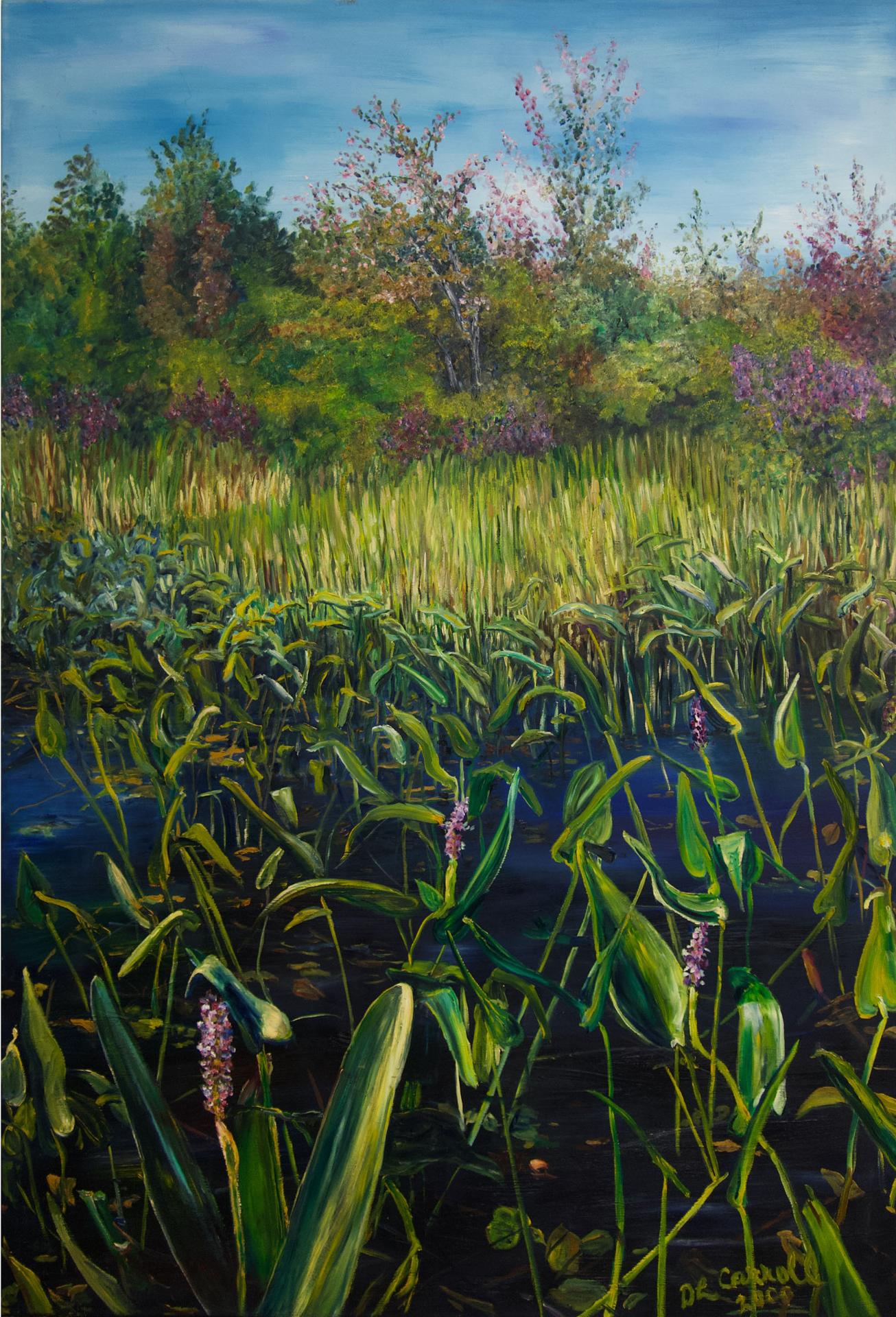 Dianne Carroll - Untitled (Swamp Study)