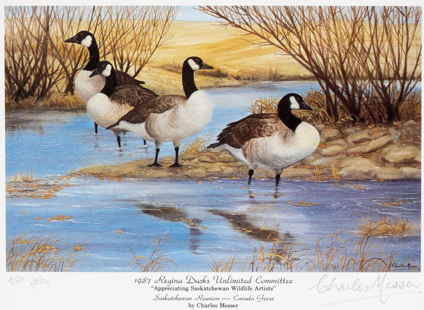 Charles Messer - Saskatchewan Reunion - Canada Geese