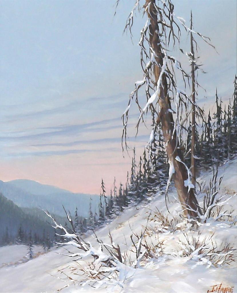 Joe Haire - Winter Sunset
