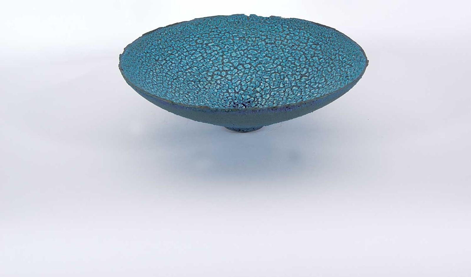 Mary Fox - Untitled - Turquoise Alligator Skin Bowl