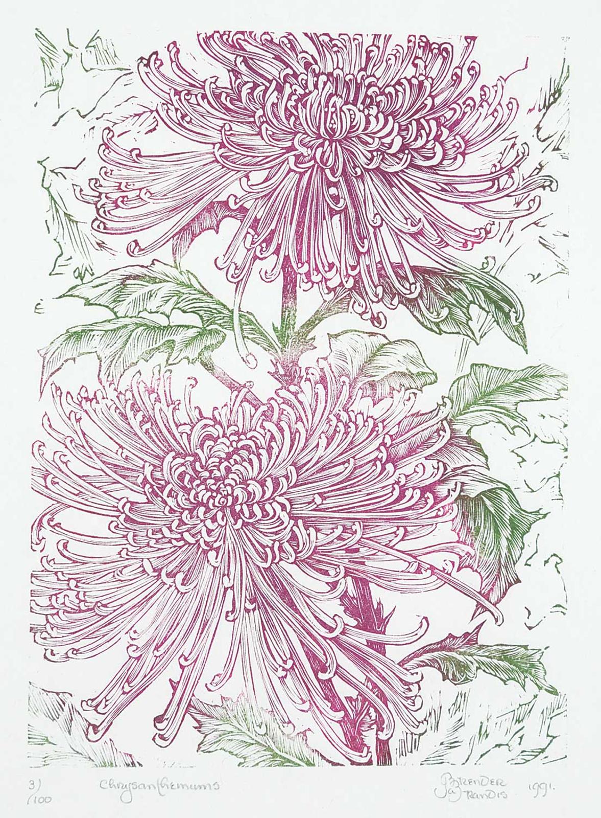 Gerard William Brender a Brandis (1942) - Chrysanthemums  #3/100