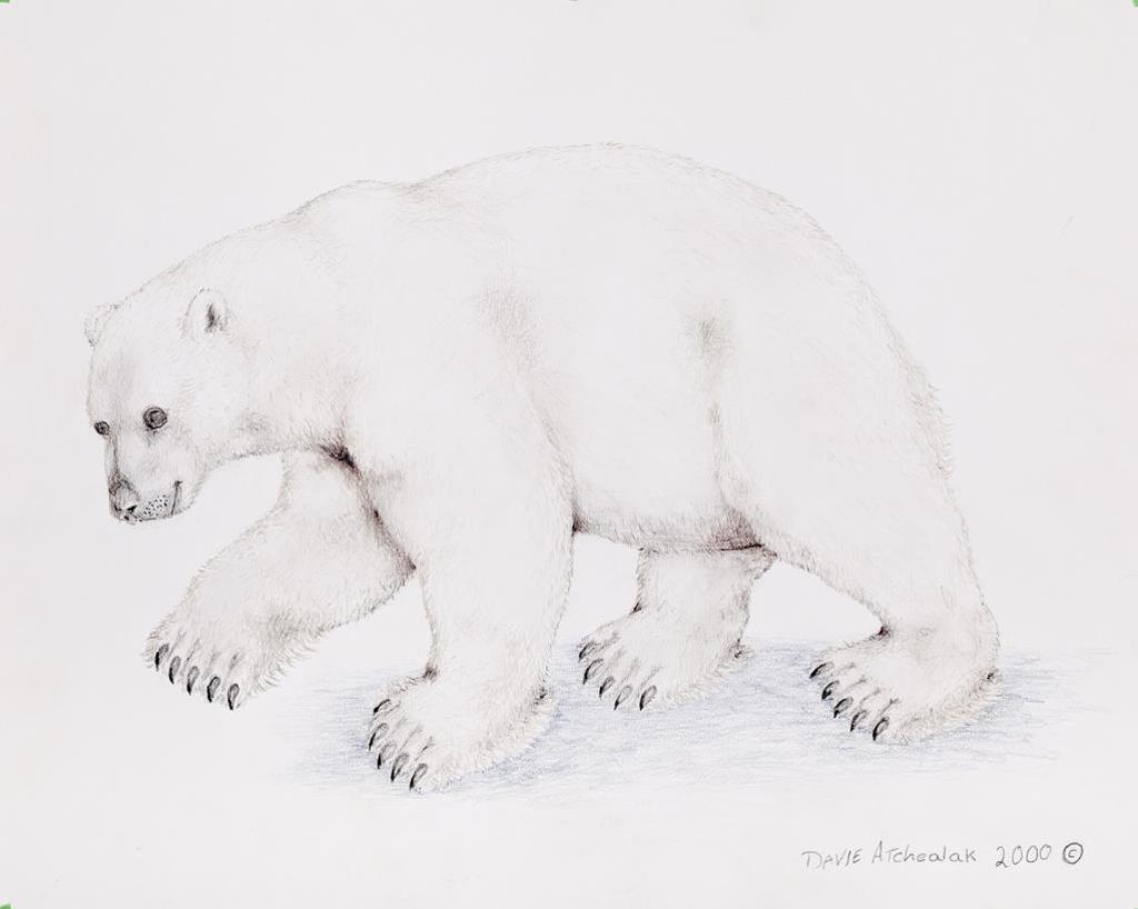 Davie Atchealak (1947-2006) - Pangnirtung/Iqaluit, Bear Cub, 2000