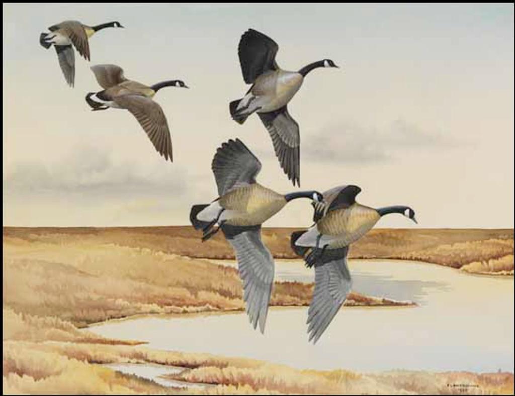 James Fenwick Lansdowne (1937-2008) - Geese in Flight