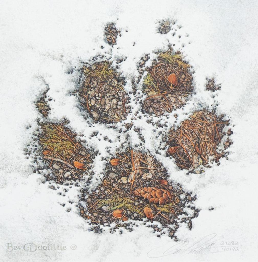 Bev Doolittle (1947) - Untitled - Paw Print