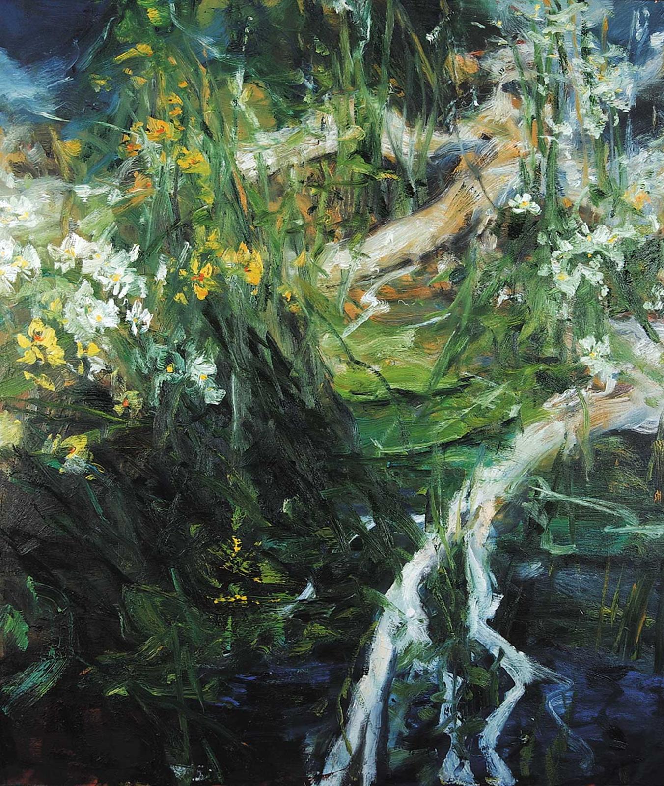 John A. MacDonald - Untitled - Forest Scene