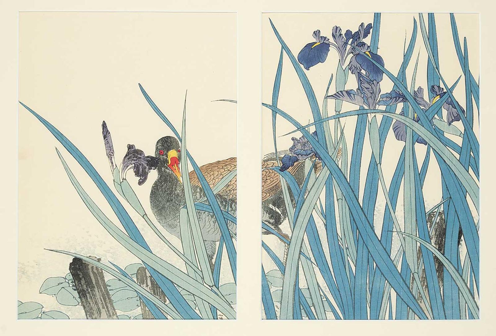 Imao Keinen - Untitled - Through the Irises