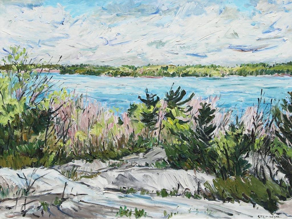 Bruce Steinhoff (1959) - Spring, Parry Island, Georgian Bay