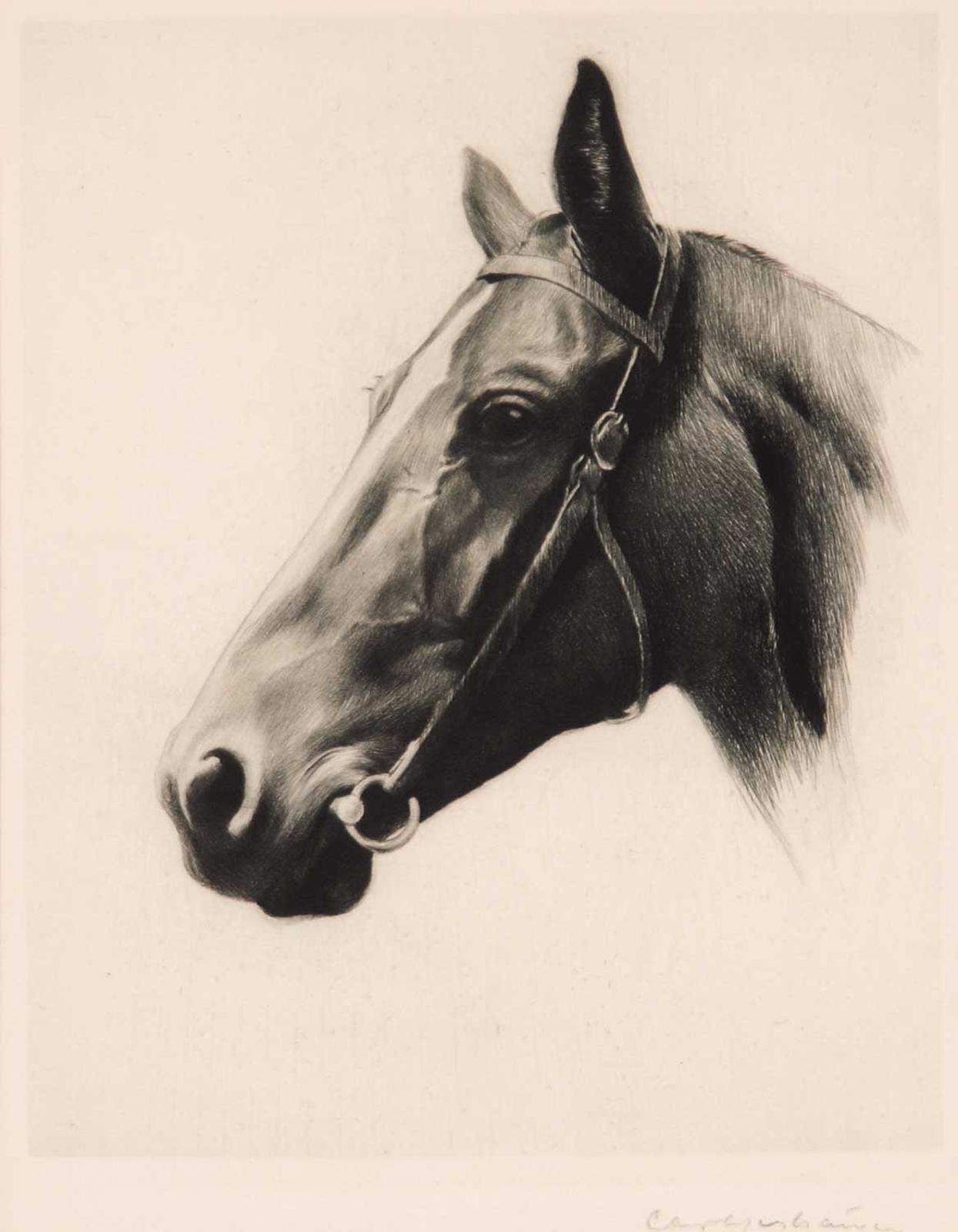 French School - Untitled - Horse Profile Looking Left
