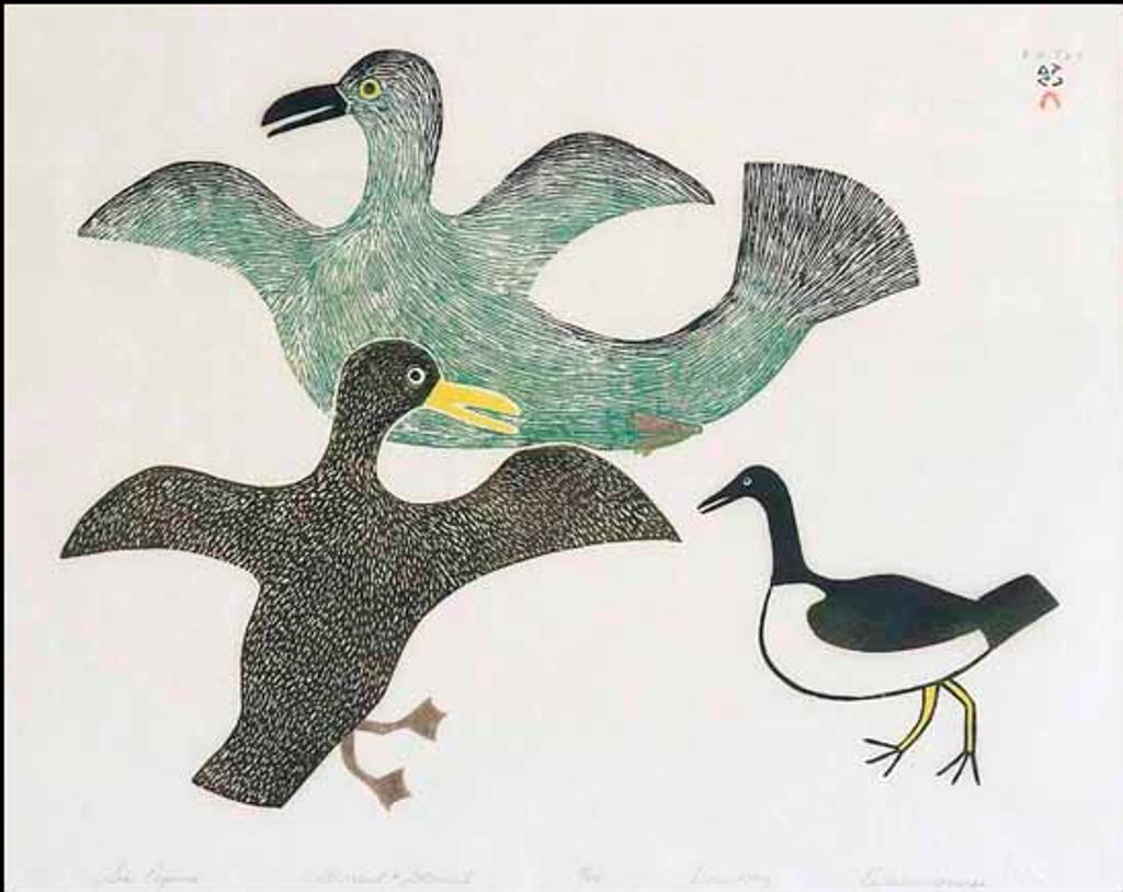 Keeleemeeoomee Samualie (1919-1983) - Sea Pigeons (03025/2013-1277)