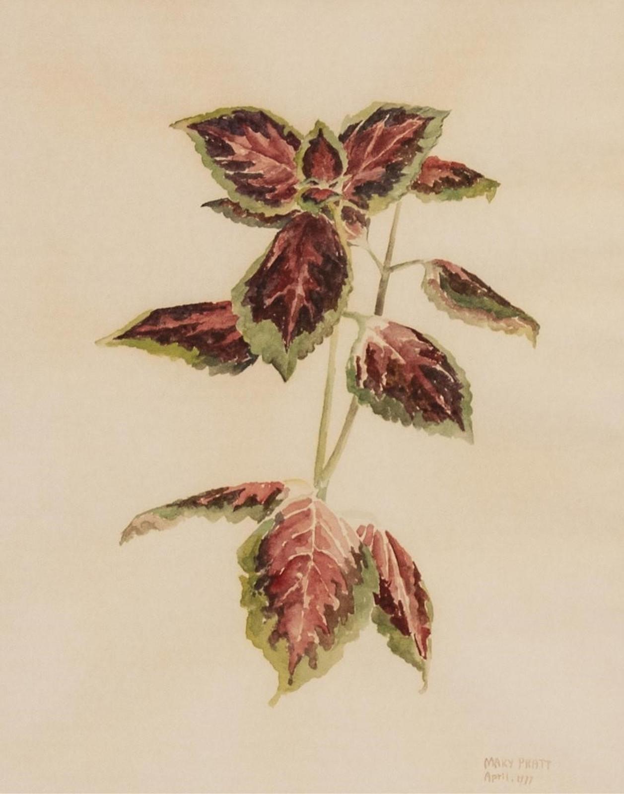 Mary Frances West Pratt (1935-2018) - Red And Green Leaves (Painted Nettle); 1977