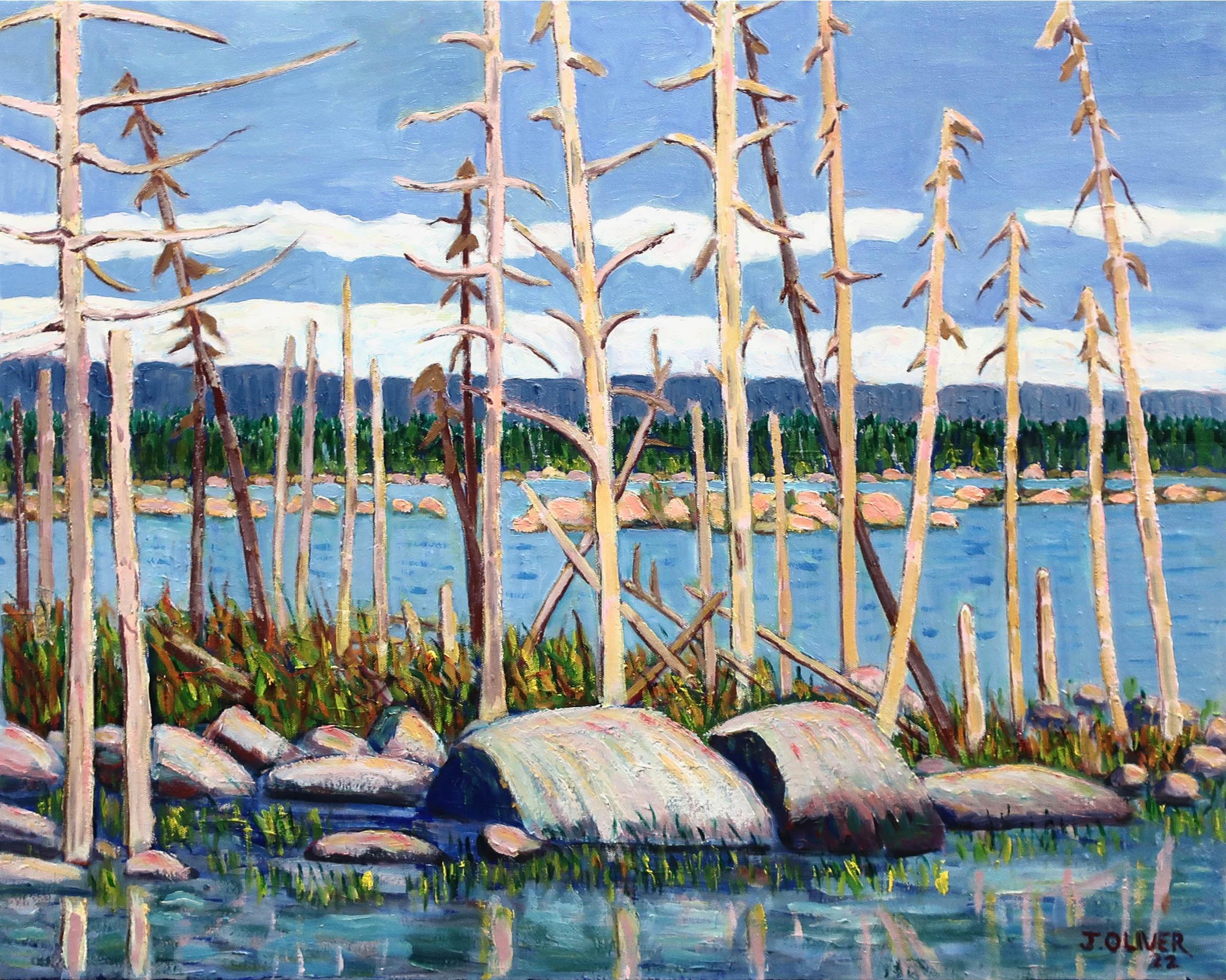 John Oliver (1939) - Wetland's - Gros Morne N.P., Nfld.