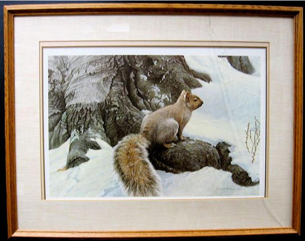 Robert Mclellan Bateman (1930-1922) - Gray Squirrel