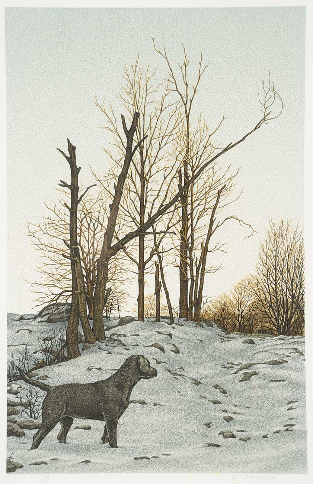Daniel Price (D.P.) Erichsen Brown (1939) - Untitled - Black Lab in Winter  #24/80