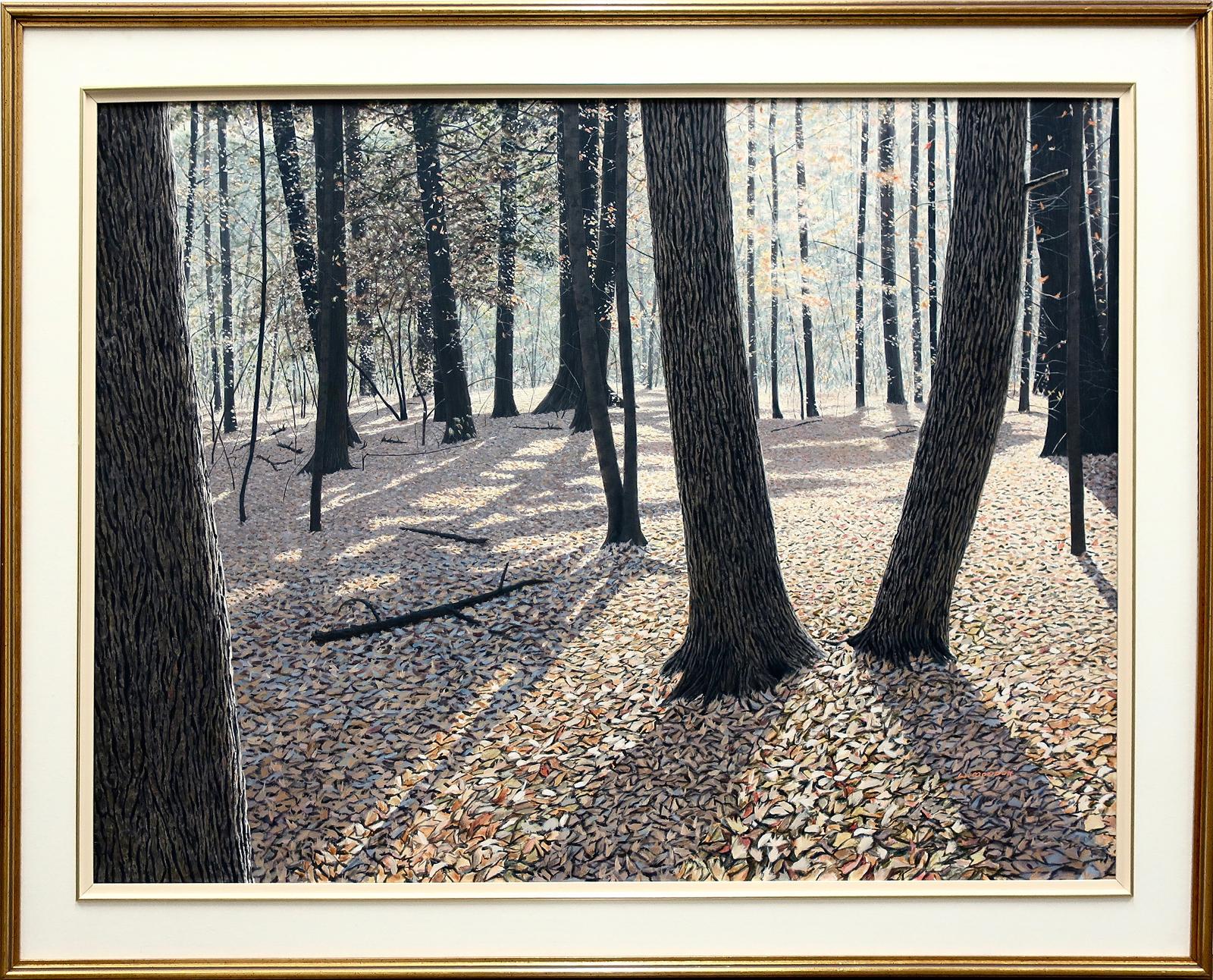 Wayne Mondok (1961) - Untitled (Sunlit Forest)